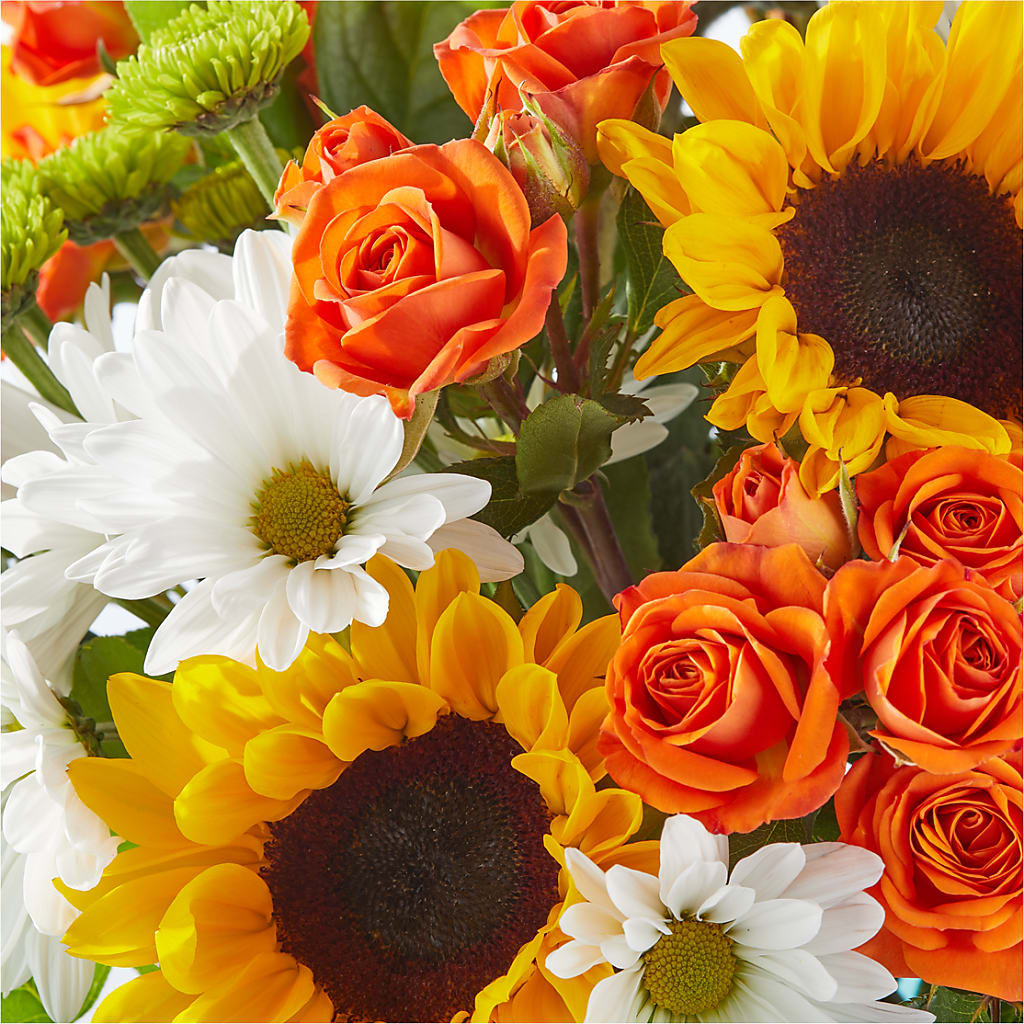 Sun-drenched Blooms Bouquet –  Bulldog Flowers, Athens GA