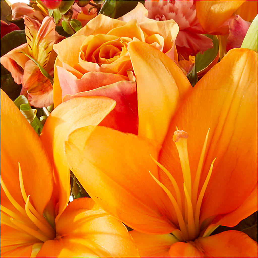 Afternoon Light Bouquet –  Bulldog Flowers, Athens GA