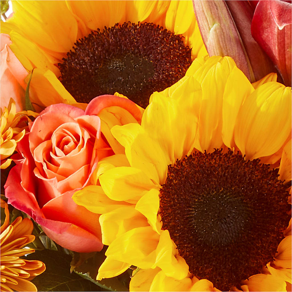 Acorn Lane Bouquet –  Bulldog Flowers, Athens GA