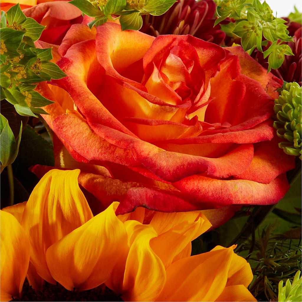 Harvest Festival Bouquet –  Bulldog Flowers, Athens GA