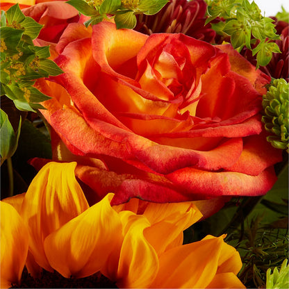 Harvest Festival Bouquet –  Bulldog Flowers, Athens GA