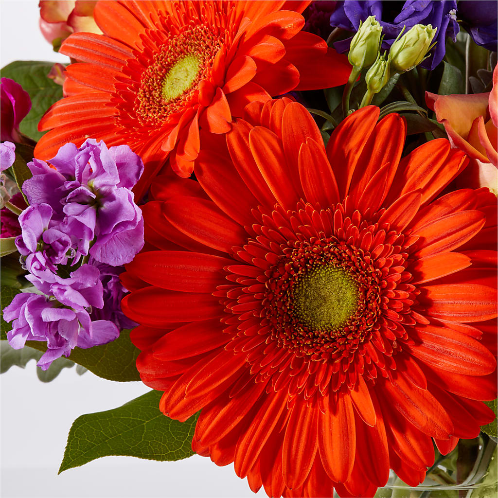 Sangria Bouquet –  Bulldog Flowers, Athens GA