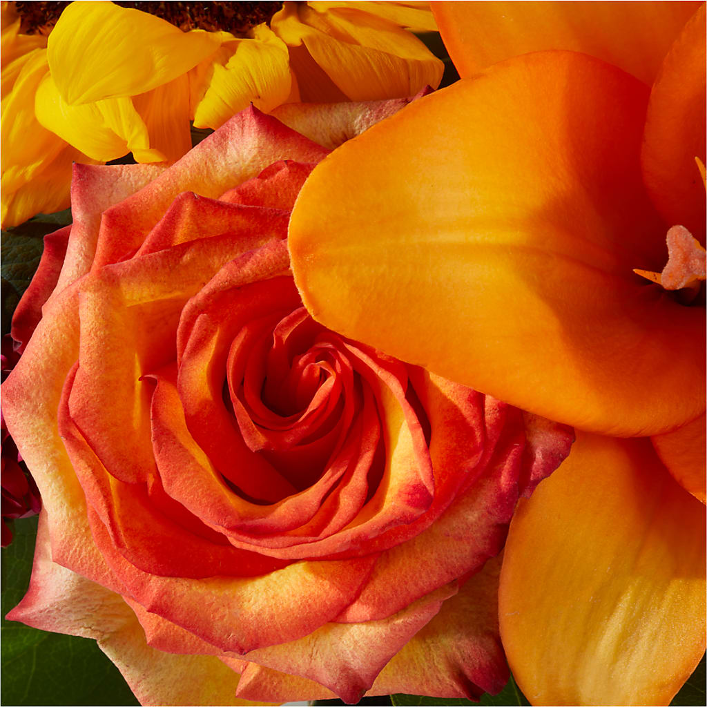 Grateful Centerpiece –  Bulldog Flowers, Athens GA