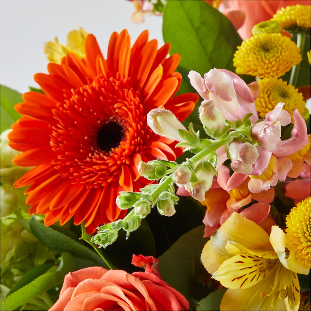 Autumn Sunshine Bouquet –  Bulldog Flowers, Athens GA