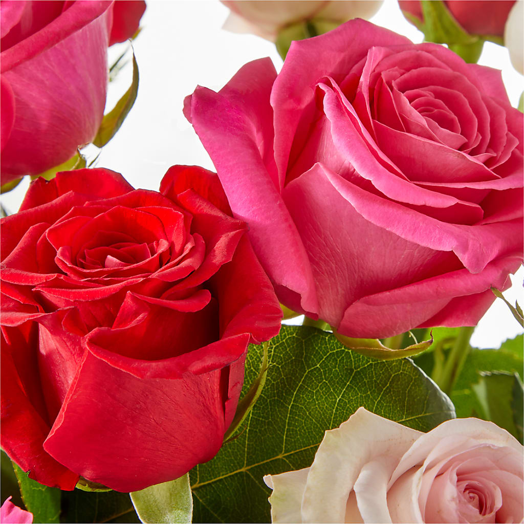 Charming Rose Bouquet –  Bulldog Flowers, Athens GA