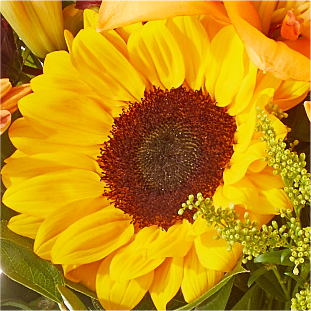 Seasons Change Bouquet –  Bulldog Flowers, Athens GA