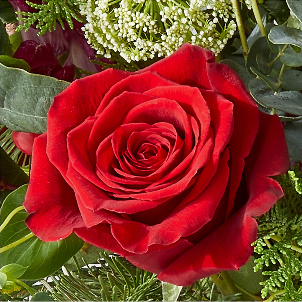Cranberry Fizz Bouquet –  Bulldog Flowers, Athens GA