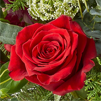 Cranberry Fizz Bouquet –  Bulldog Flowers, Athens GA