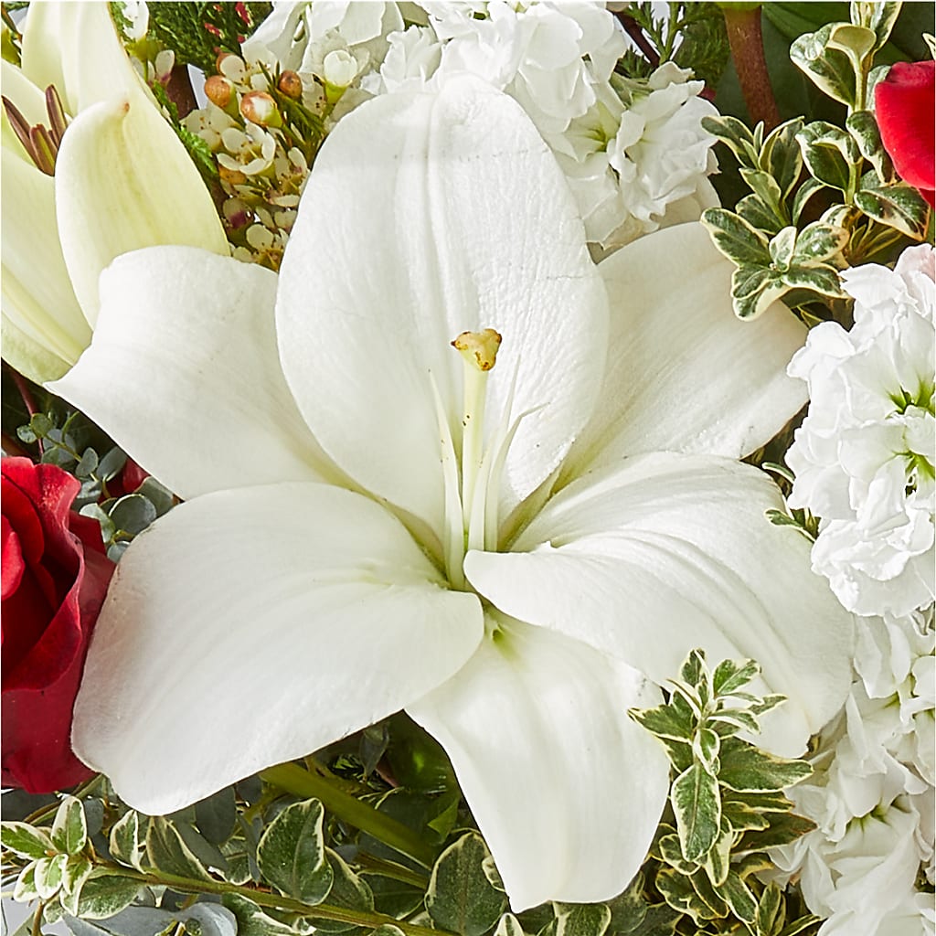 Twinkle Lights Bouquet –  Bulldog Flowers, Athens GA