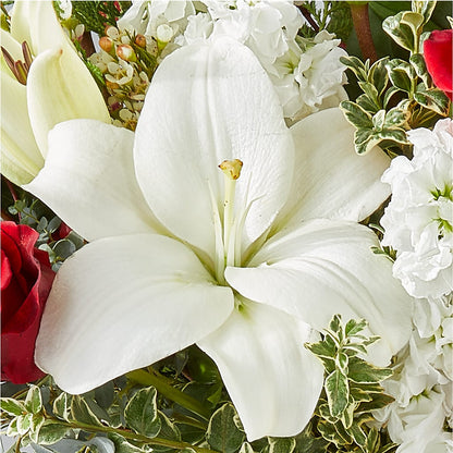 Twinkle Lights Bouquet –  Bulldog Flowers, Athens GA