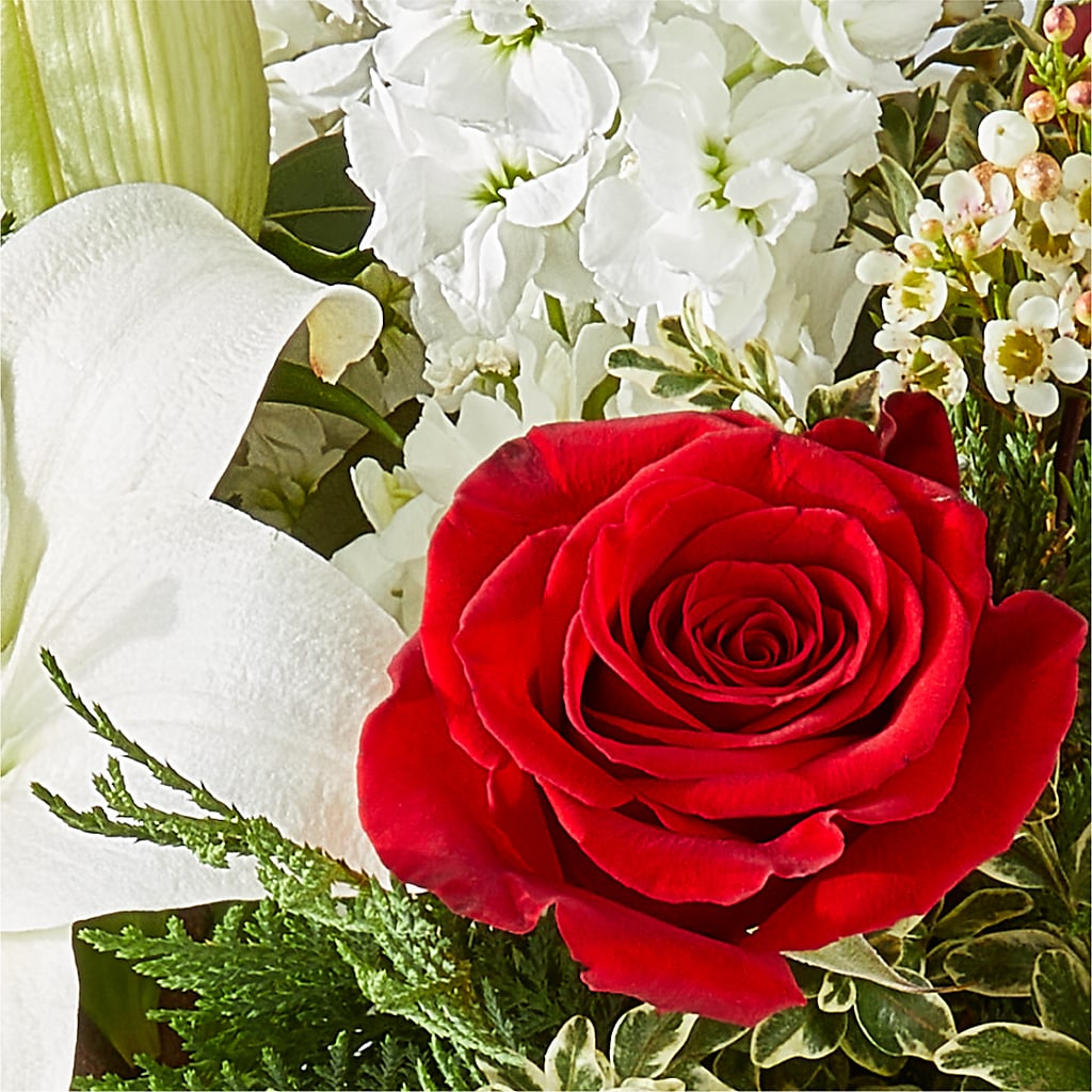 Twinkle Lights Bouquet –  Bulldog Flowers, Athens GA