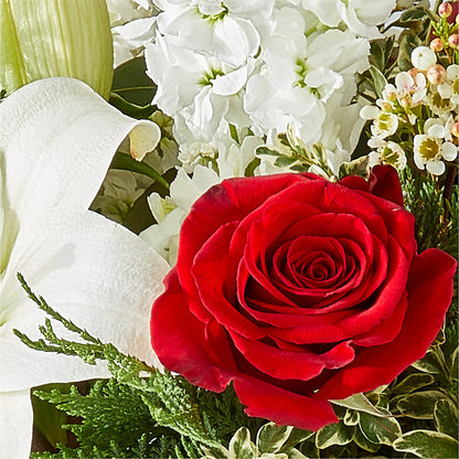 Twinkle Lights Bouquet –  Bulldog Flowers, Athens GA