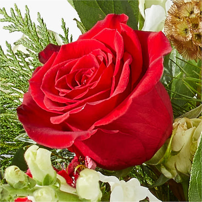Deck the Halls Bouquet –  Bulldog Flowers, Athens GA