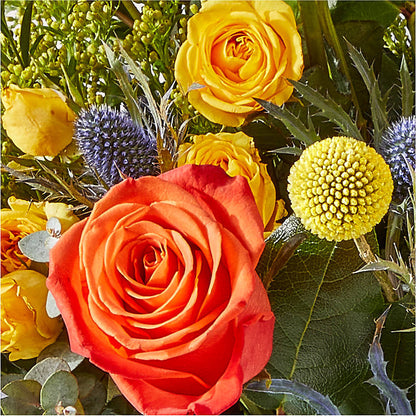 Disco Bouquet –  Bulldog Flowers, Athens GA