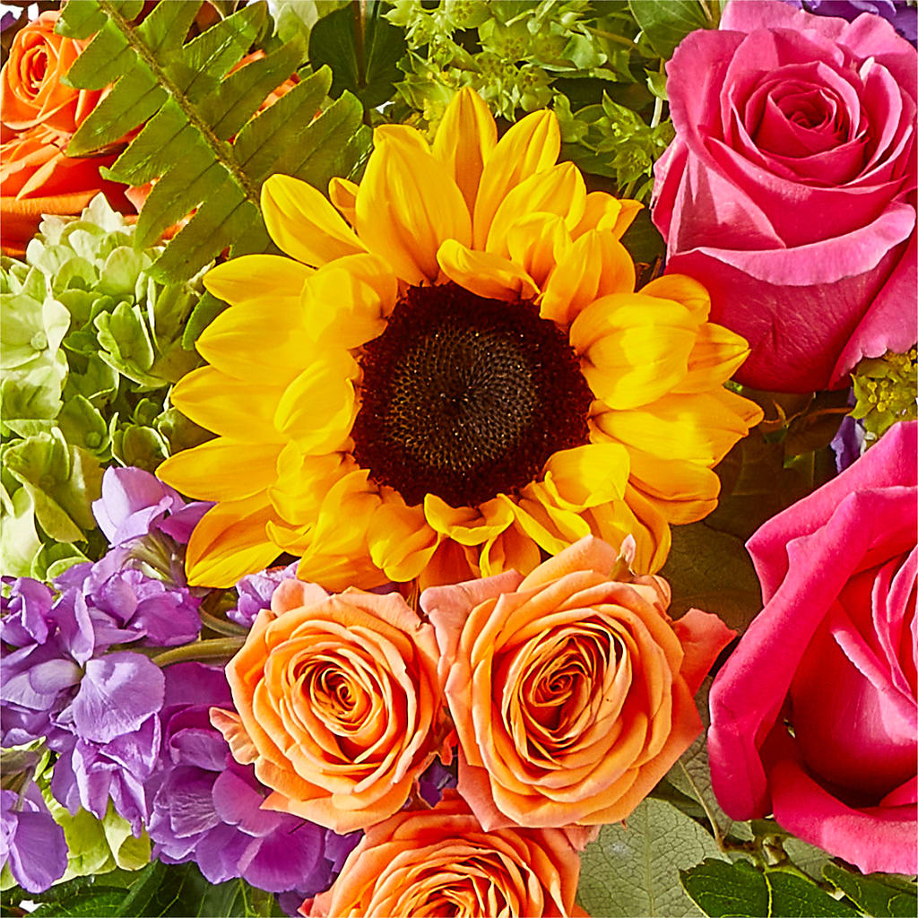 Vibrant Greetings Bouquet –  Bulldog Flowers, Athens GA