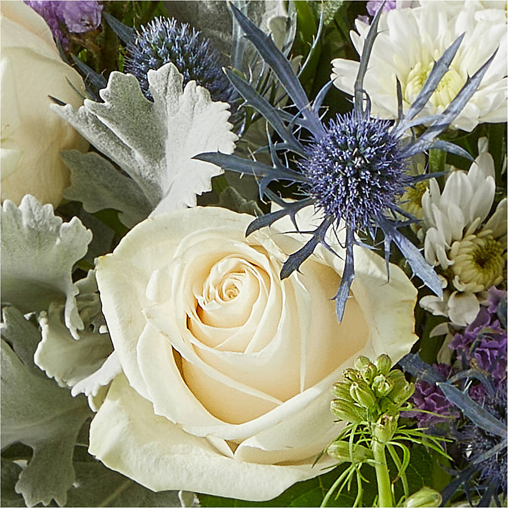 Shooting Star Bouquet –  Bulldog Flowers, Athens GA