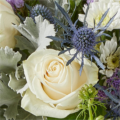 Shooting Star Bouquet –  Bulldog Flowers, Athens GA