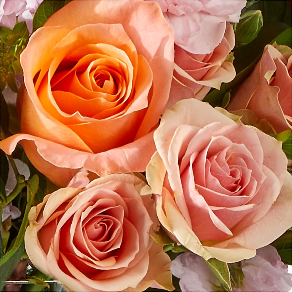 French Market Bouquet –  Bulldog Flowers, Athens GA