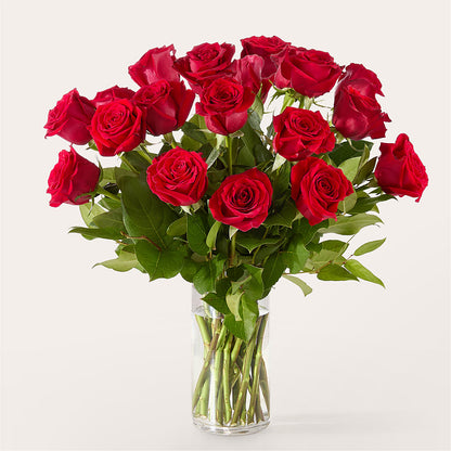 The One Red Rose Bouquet –  Bulldog Flowers, Athens GA