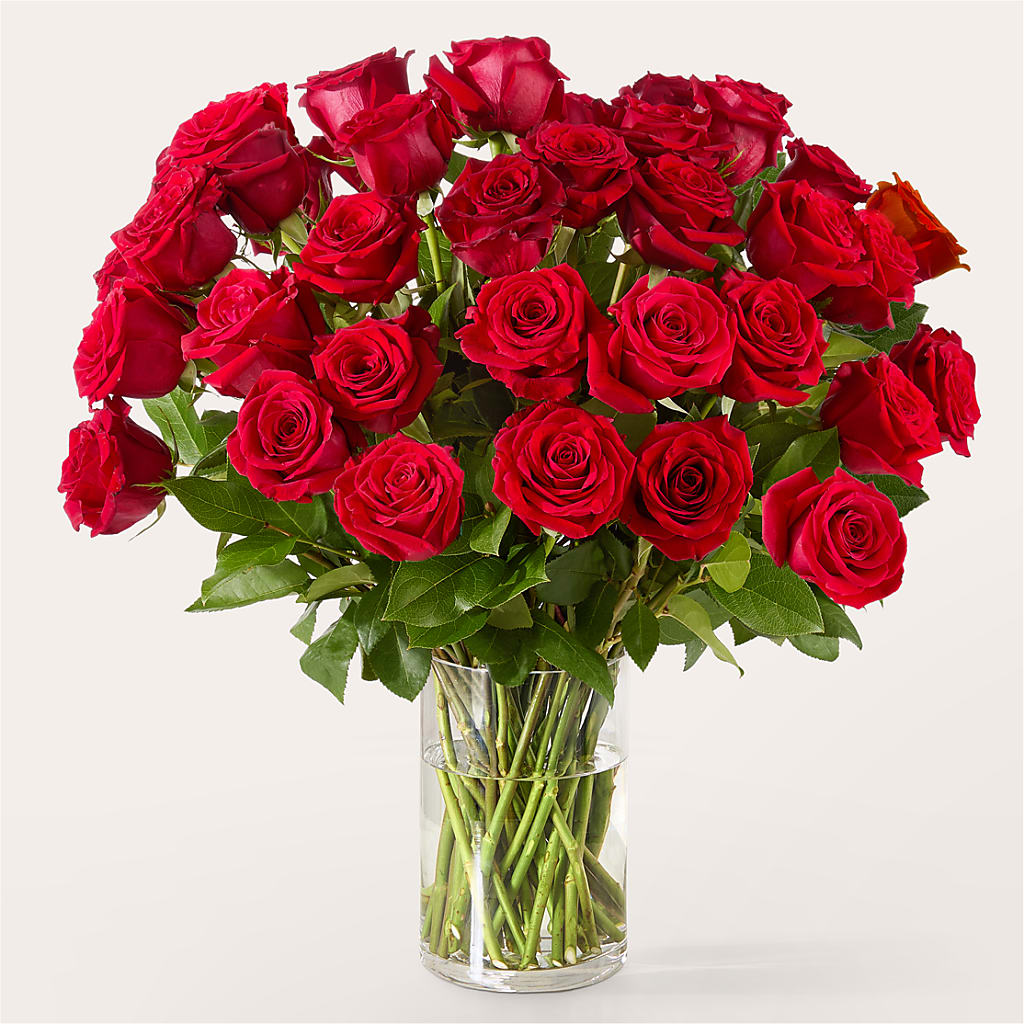 The One Red Rose Bouquet –  Bulldog Flowers, Athens GA