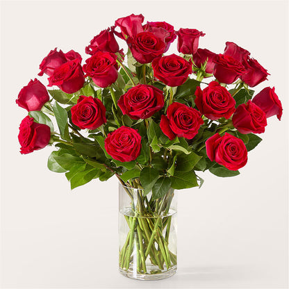 The One Red Rose Bouquet –  Bulldog Flowers, Athens GA