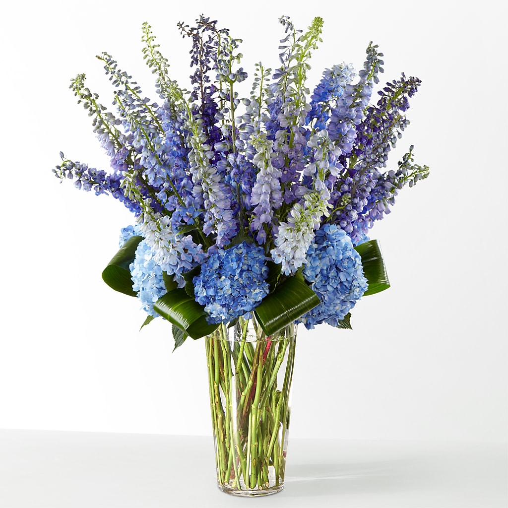 The Editorial –  Bulldog Flowers, Athens GA