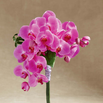 Glorious Bouquet –  Bulldog Flowers, Athens GA