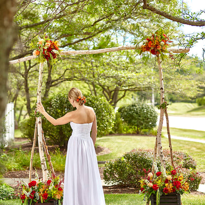 Arbor of Love Archway –  Bulldog Flowers, Athens GA