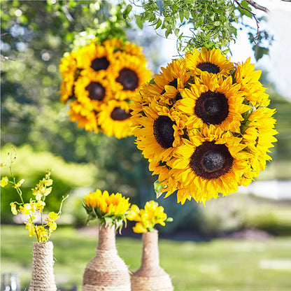 Sublime Garden Hanging Arrangement –  Bulldog Flowers, Athens GA
