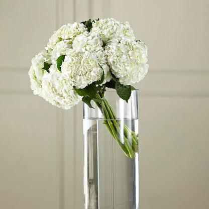 White Hydrangea Hand-Tied Bouquet –  Bulldog Flowers, Athens GA
