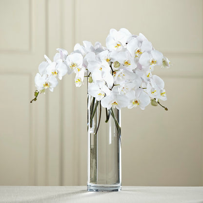 White Phalaenopsis Bouquet –  Bulldog Flowers, Athens GA