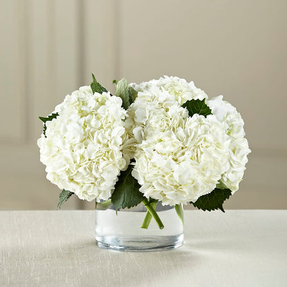 White Hydrangea Bouquet –  Bulldog Flowers, Athens GA