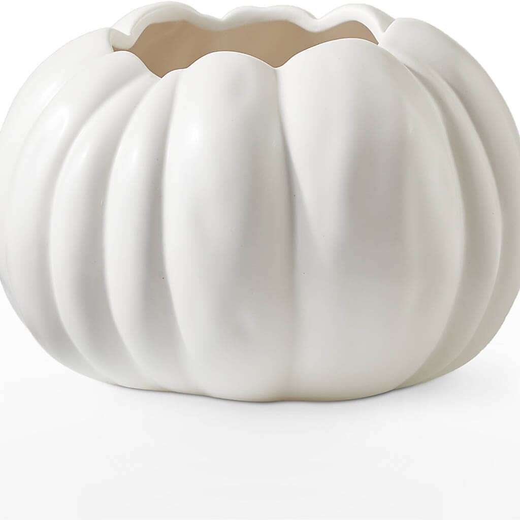 Pumpkin to Talk About Bouquet –  Bulldog Flowers, Athens GA